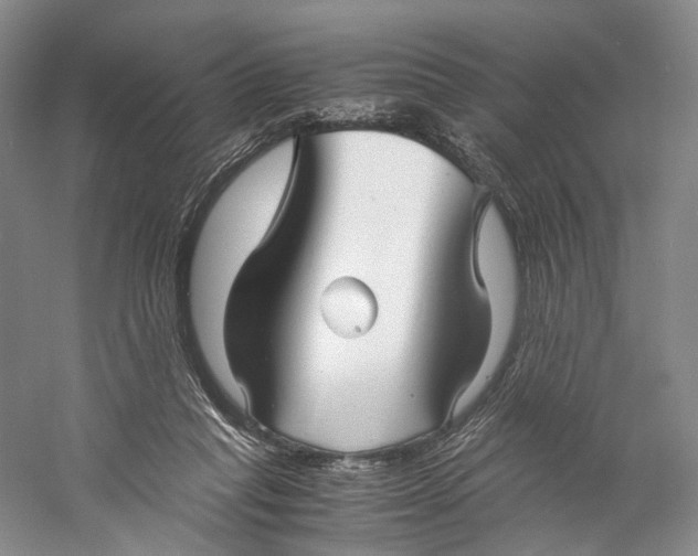 X0000060780261200512011647