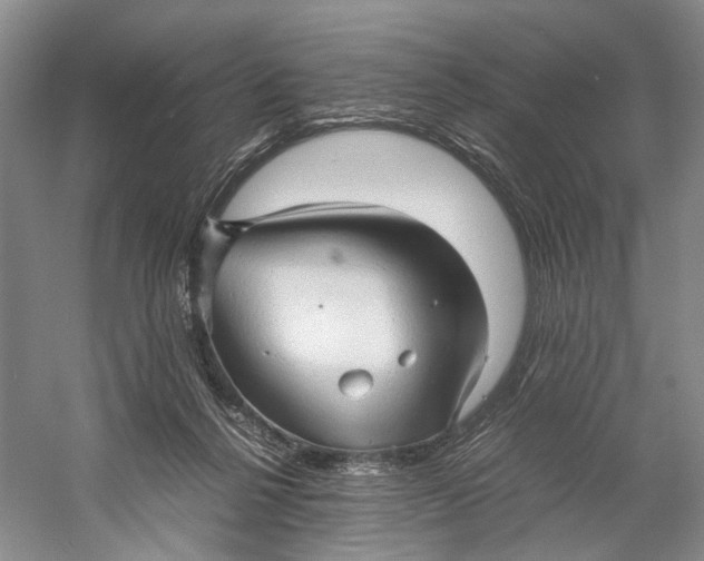 X0000060780264200512011647
