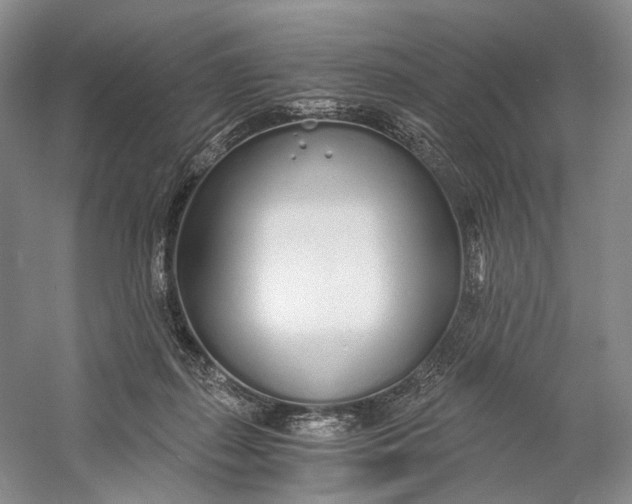 X0000060780267200512011647