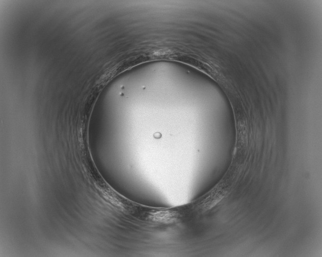 X0000060780269200512011647