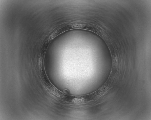 X0000060780271200512011647
