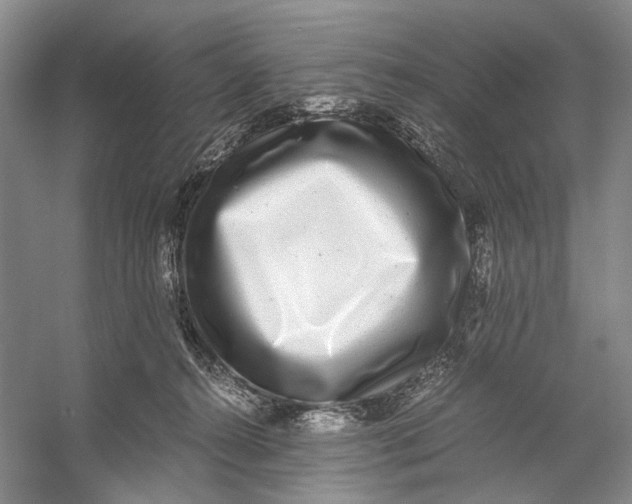 X0000060780272200512011647