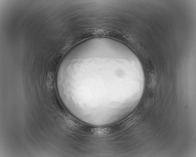 X0000060780273200512011647