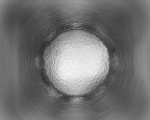 X0000060780274200512011647