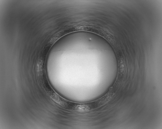 X0000060780275200512011647