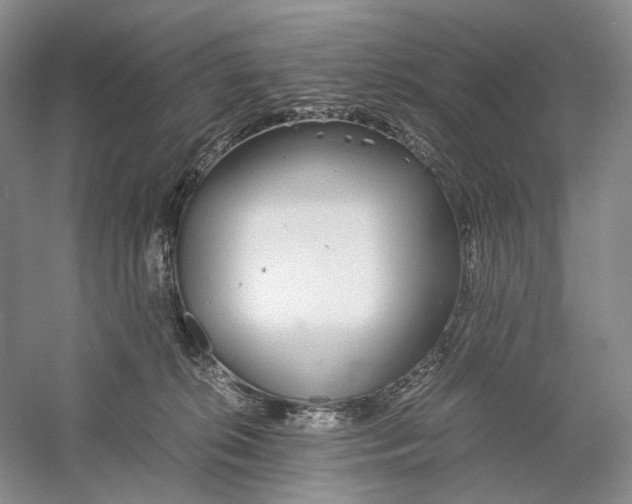X0000060780276200512011647