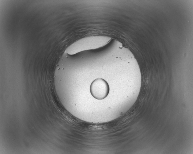 X0000060780277200512011647