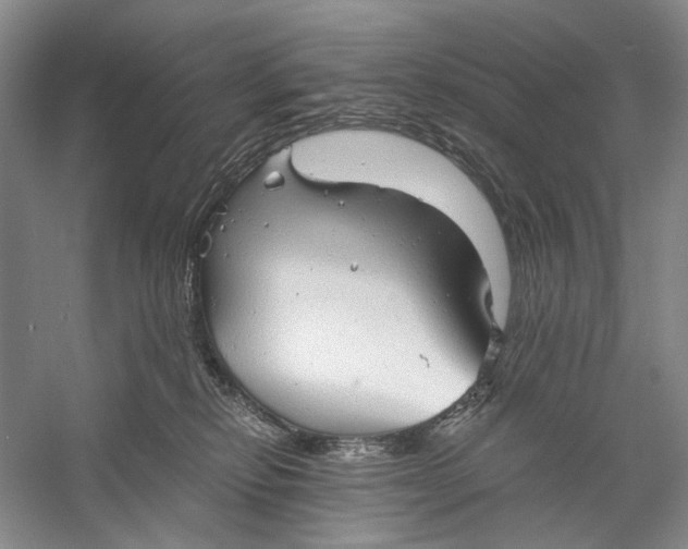 X0000060780278200512011647