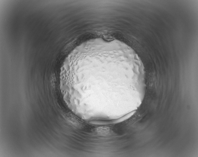 X0000060780279200512011647
