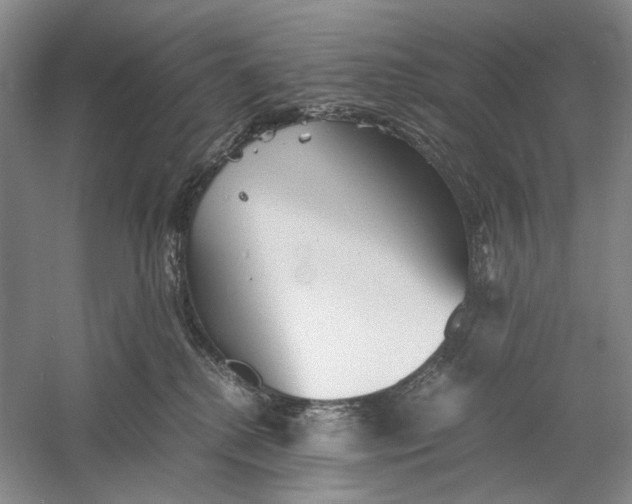 X0000060780280200512011647