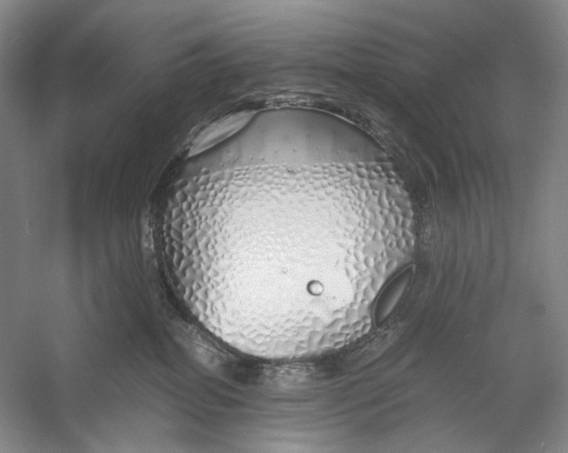 X0000060780282200512011647