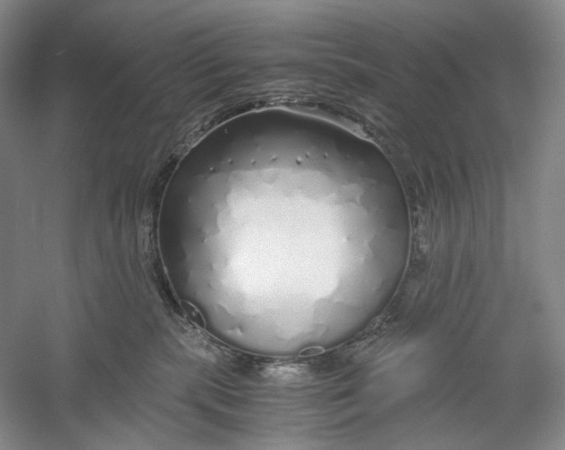 X0000060780283200512011647