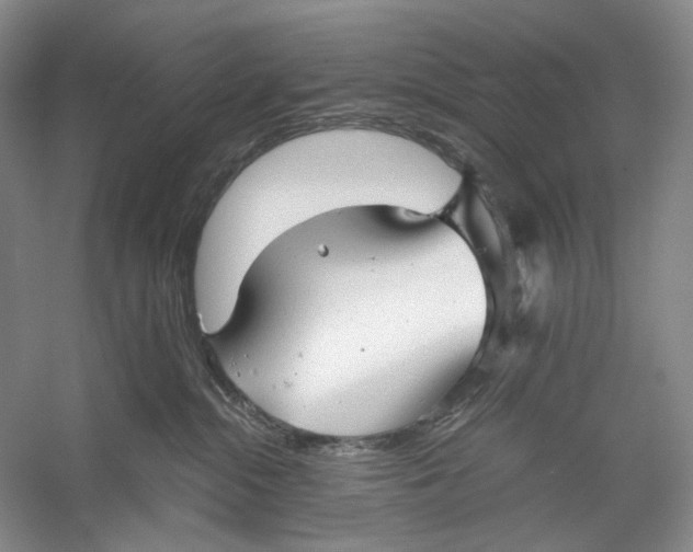 X0000060780284200512011647