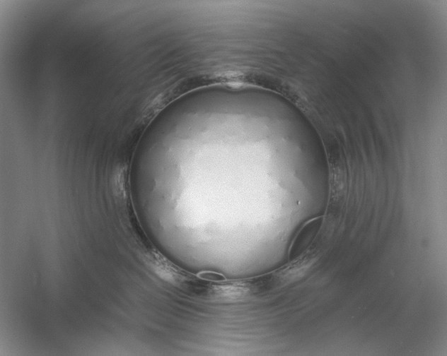 X0000060780286200512011647