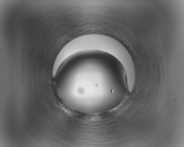 X0000060780288200512011647