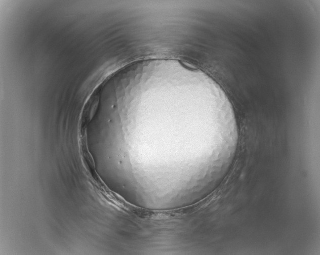 X0000060780290200512011646