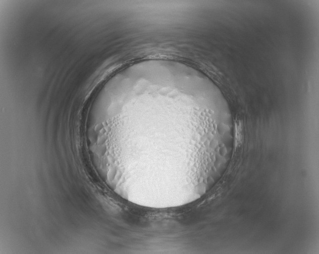 X0000060780291200512011646