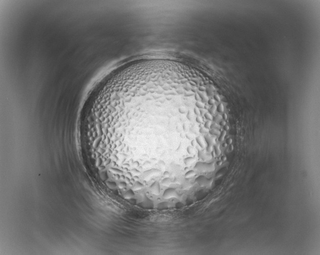 X0000060780294200512011646