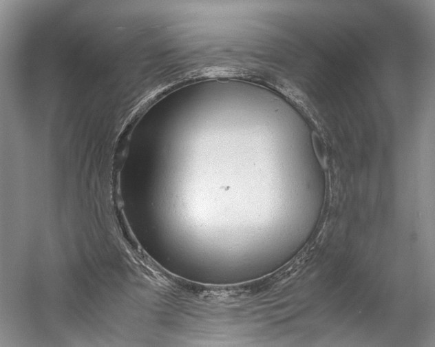 X0000060780297200512011646