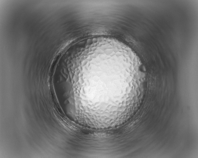 X0000060780298200512011646