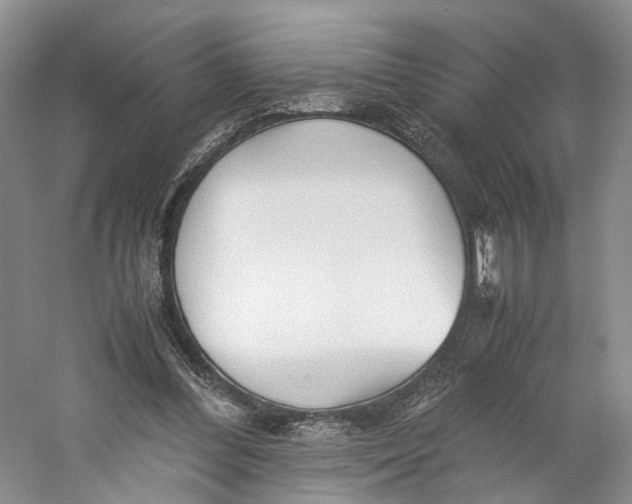 X0000060780300200512011646