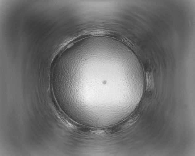 X0000060780301200512011646
