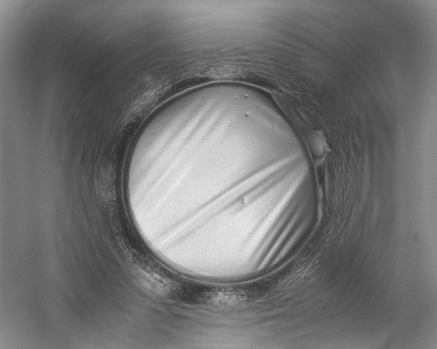 X0000060780303200512011646