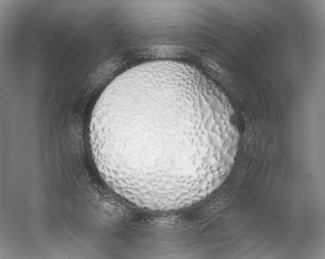X0000060780306200512011646