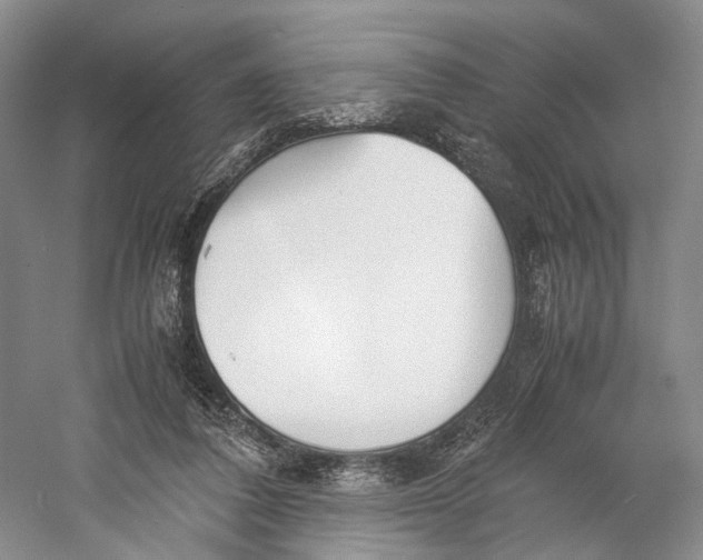 X0000060780308200512011646