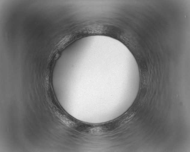 X0000060780309200512011646