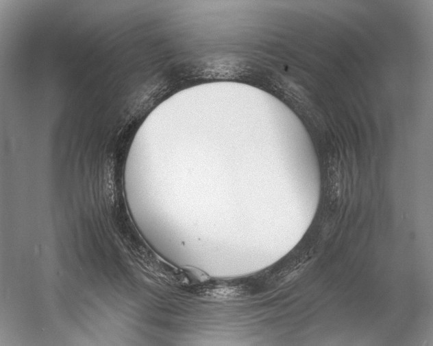 X0000060780312200512011646