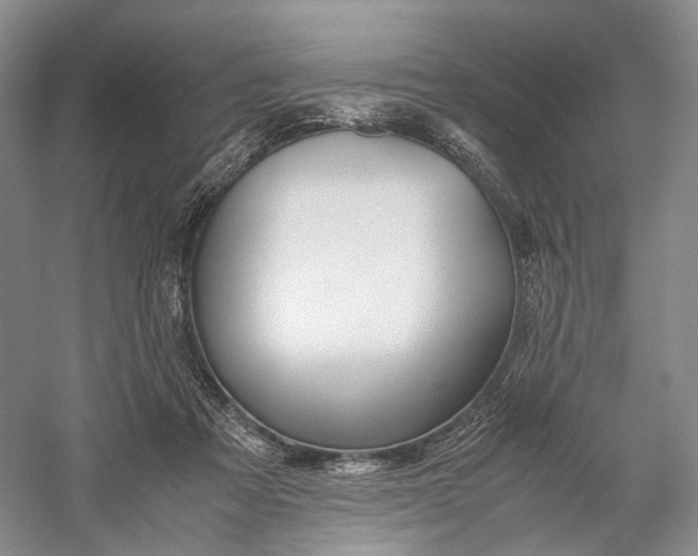 X0000060780313200512011646