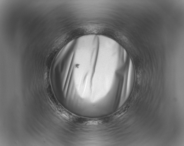 X0000060780314200512011646