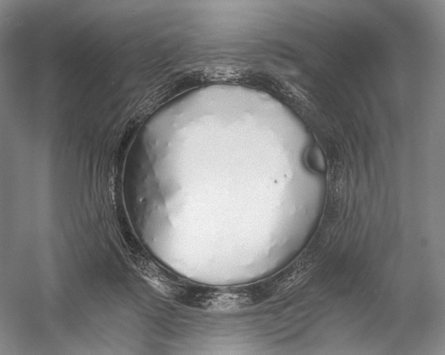 X0000060780315200512011646