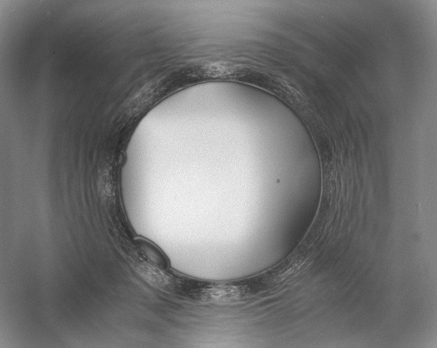 X0000060780317200512011646