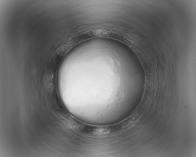 X0000060780319200512011646