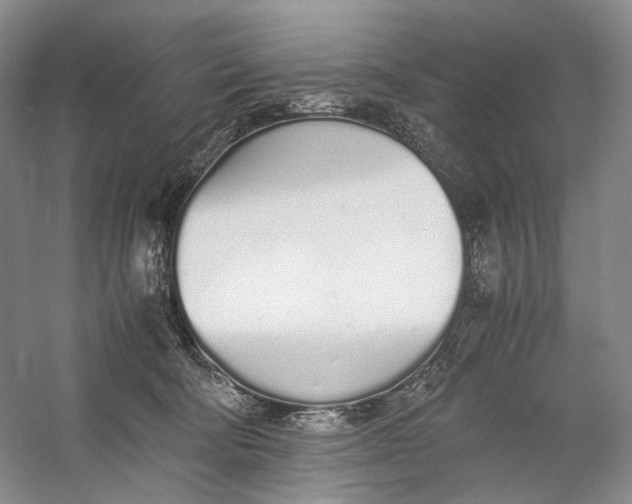 X0000060780322200512011646