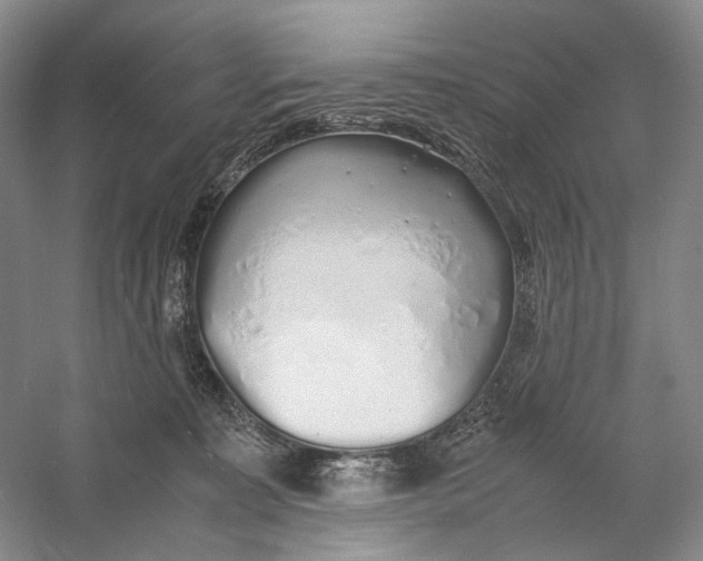 X0000060780323200512011646