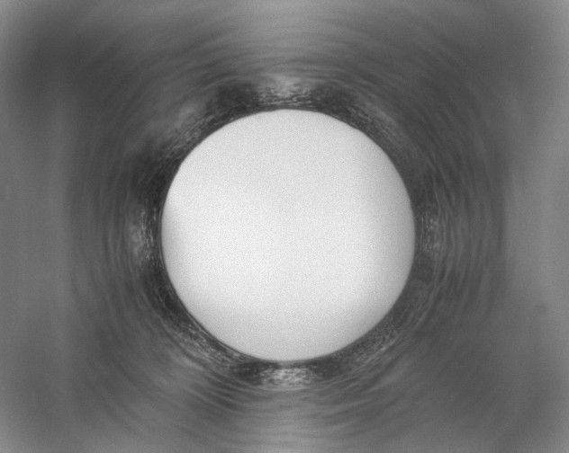 X0000060780324200512011646