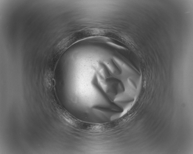 X0000060780325200512011646