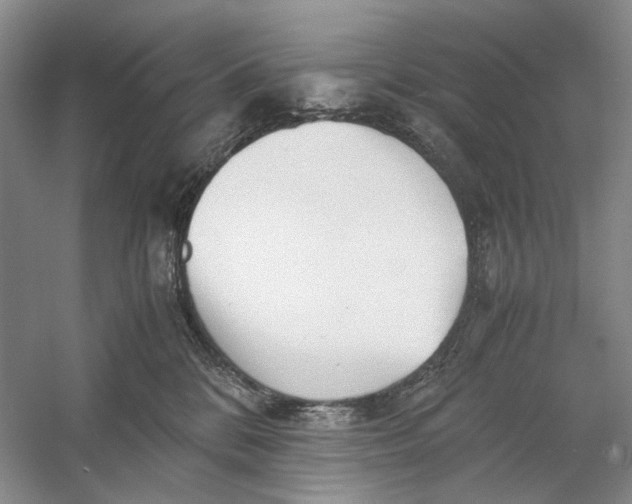 X0000060780328200512011646
