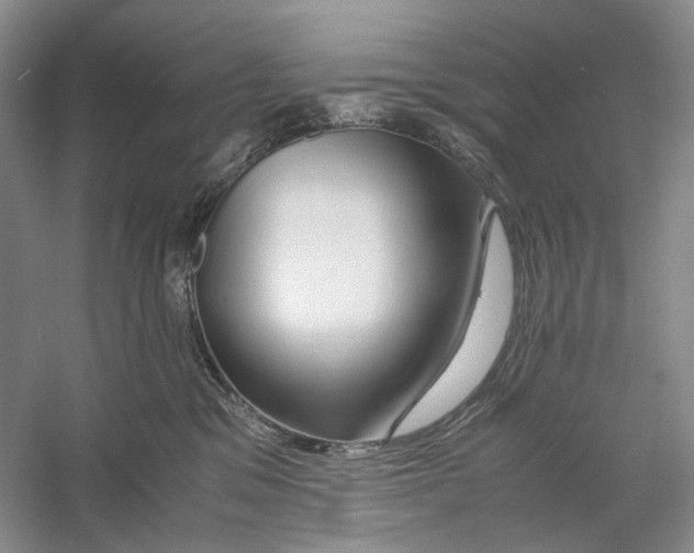 X0000060780329200512011646