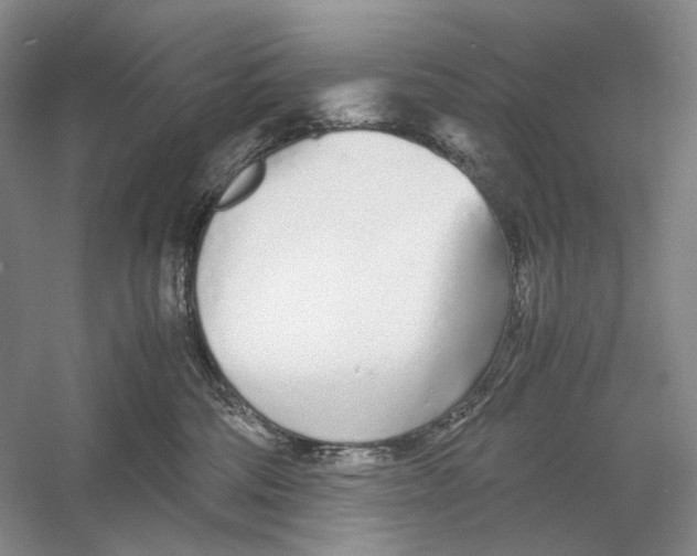 X0000060780330200512011646