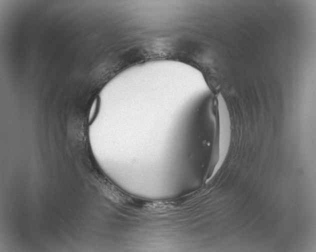 X0000060780331200512011646