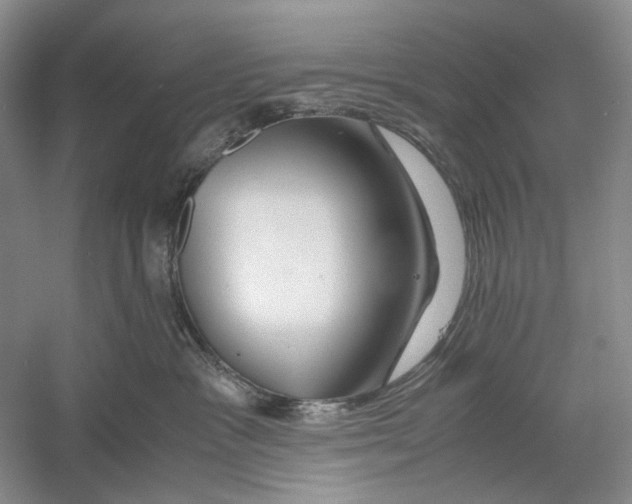 X0000060780333200512011646