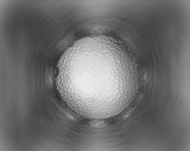 X0000060780334200512011646