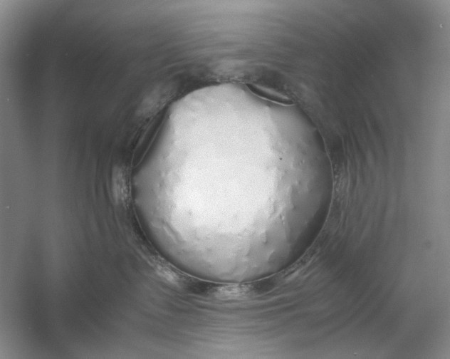 X0000060780335200512011645
