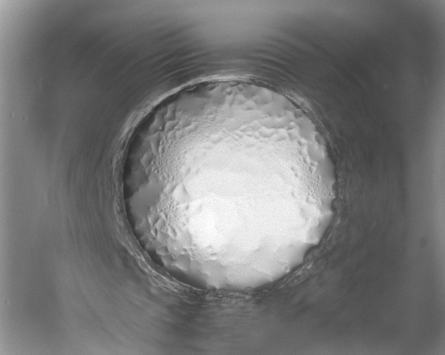 X0000060780337200512011645
