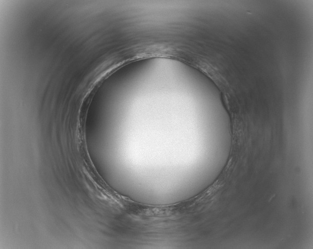 X0000060780338200512011645