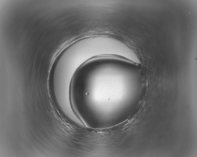 X0000060780340200512011645